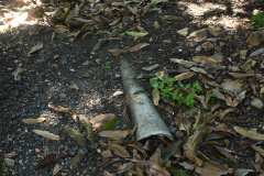 DSC_1088
