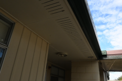 DSC_1655